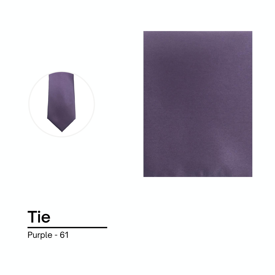 Cravate / Noeud Papillon Unie - Purple