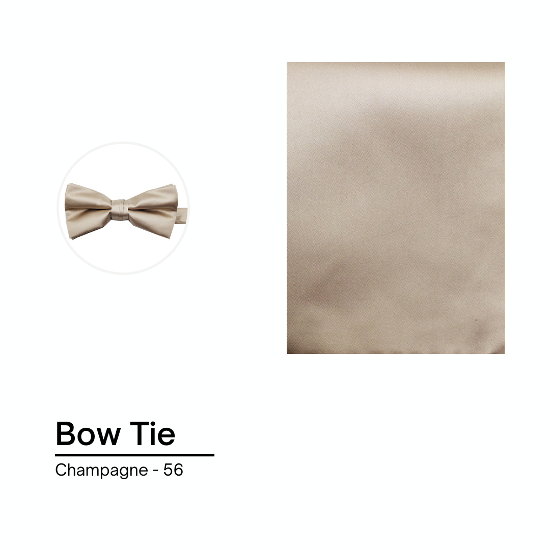 Cravate / Noeud Papillon Unie - Champagne