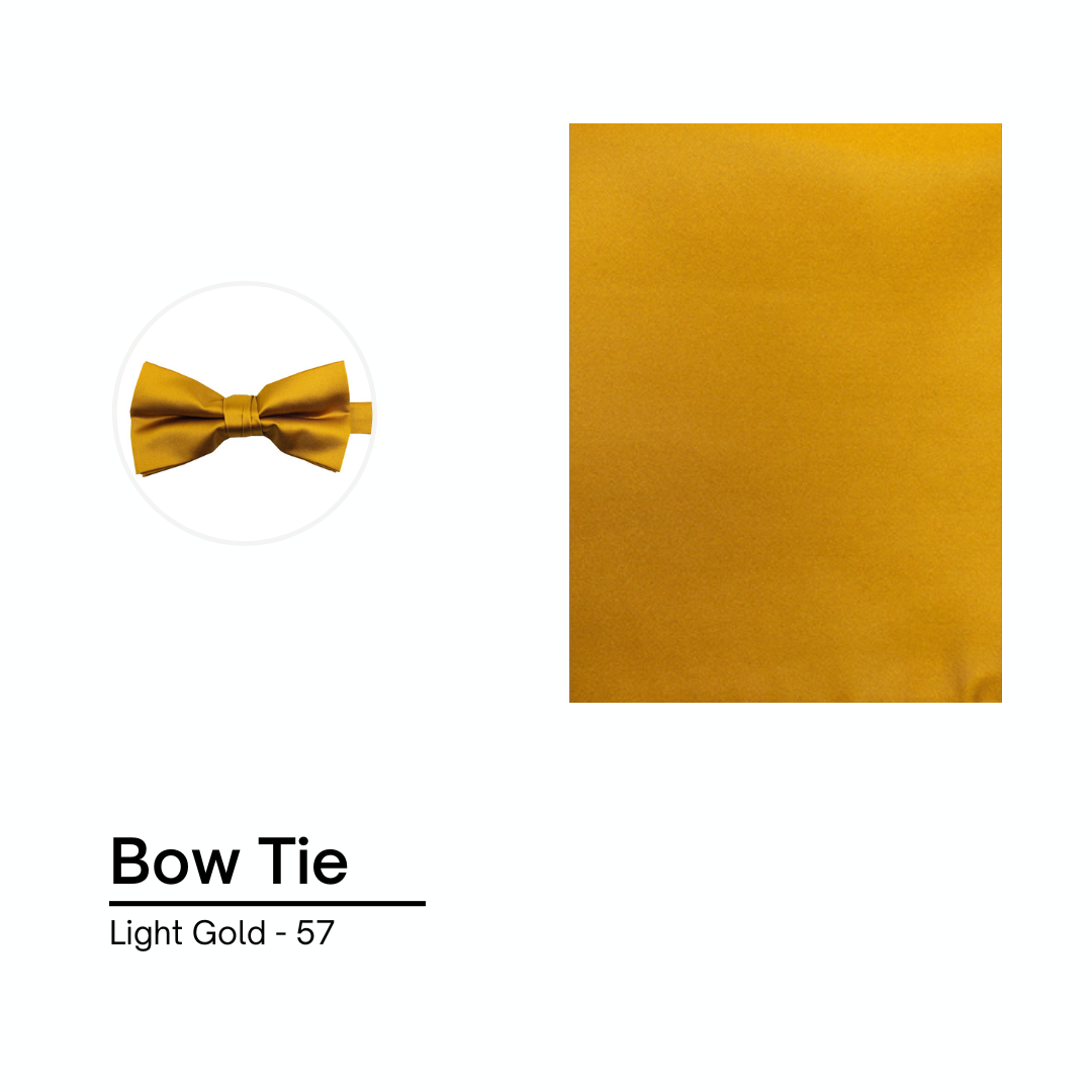 Cravate / Noeud Papillon Unie - Light Gold