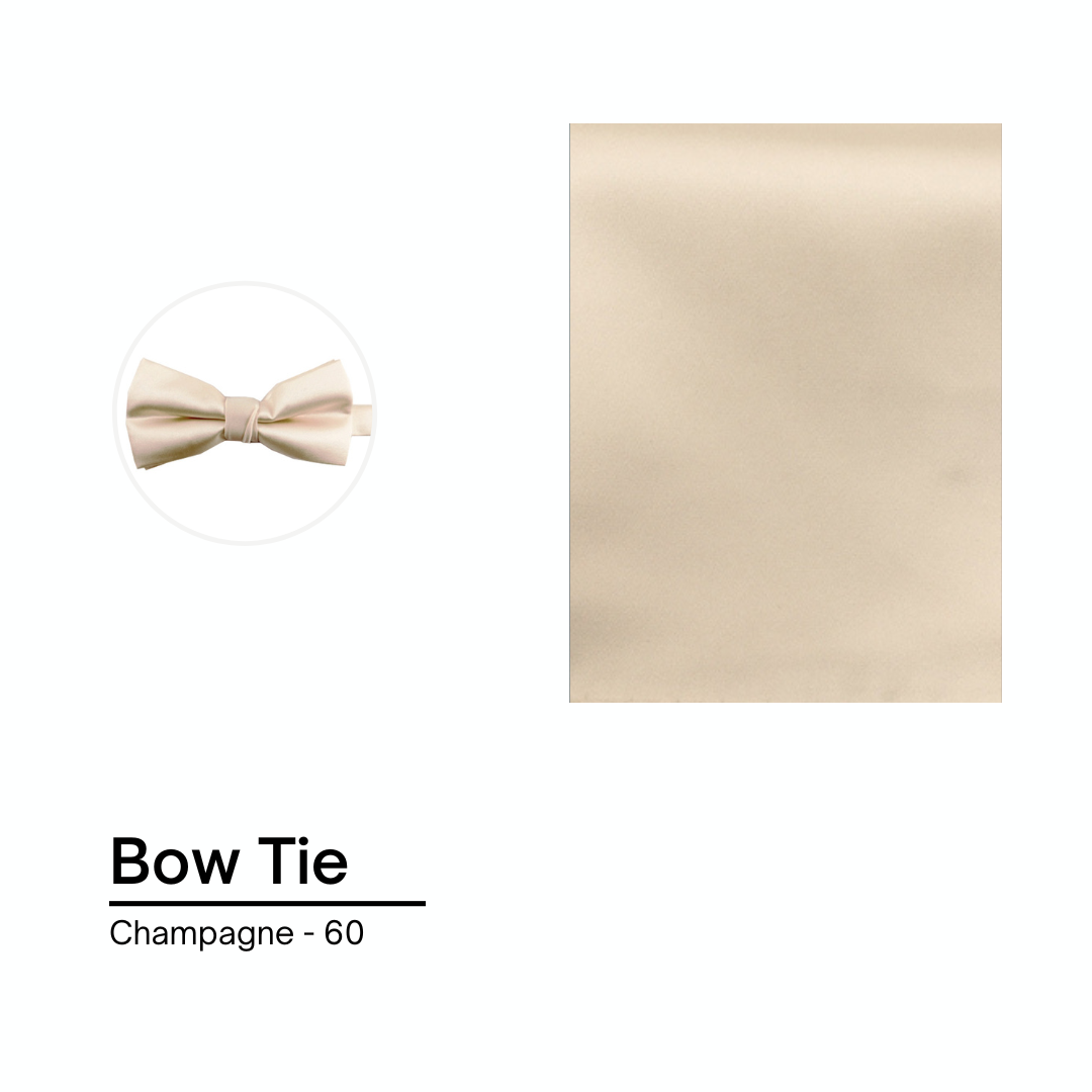 Cravate / Noeud Papillon Unie - Champagne