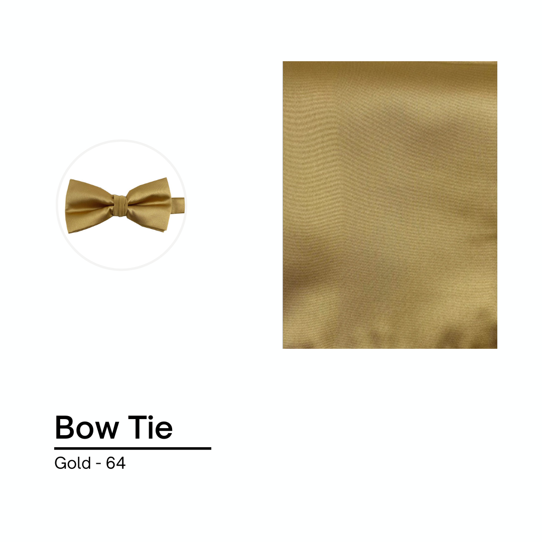 Cravate / Noeud Papillon Unie - Dark Gold