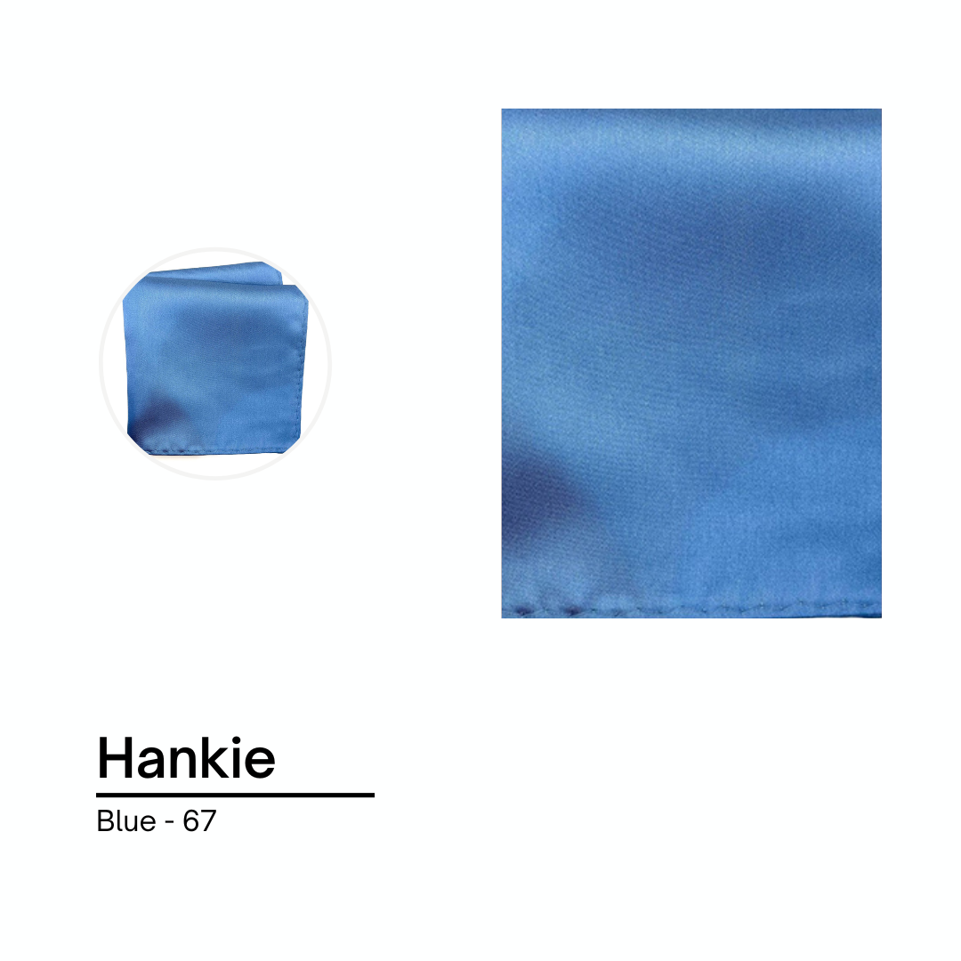Cravate / Noeud Papillon Unie - Bleu