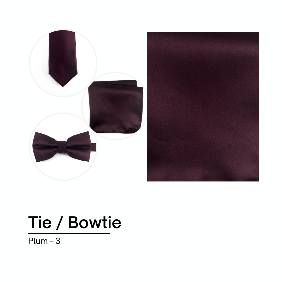 Cravate / Noeud Papillon Unie - Plum