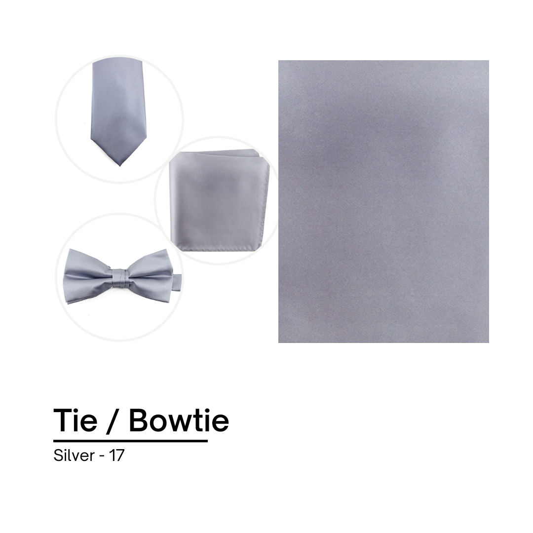 Cravate / Noeud Papillon Unie - Silver