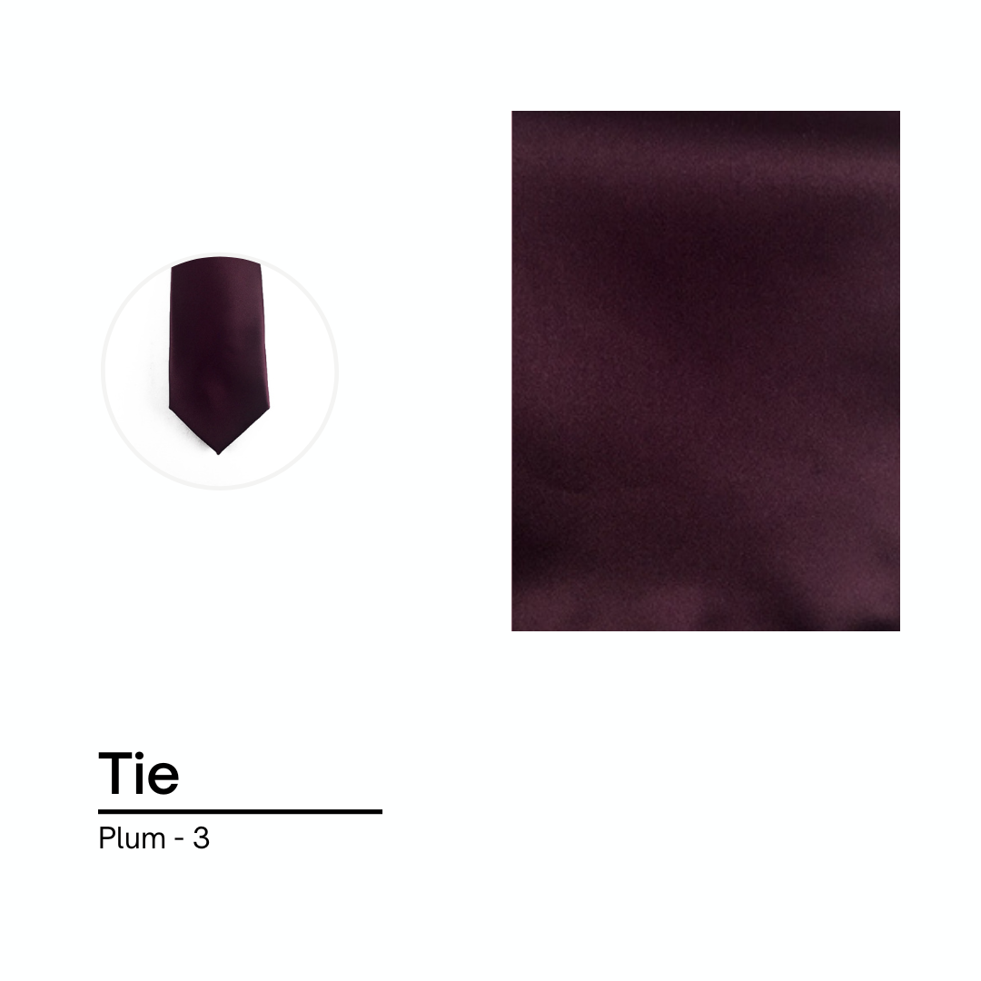 Cravate / Noeud Papillon Unie - Plum