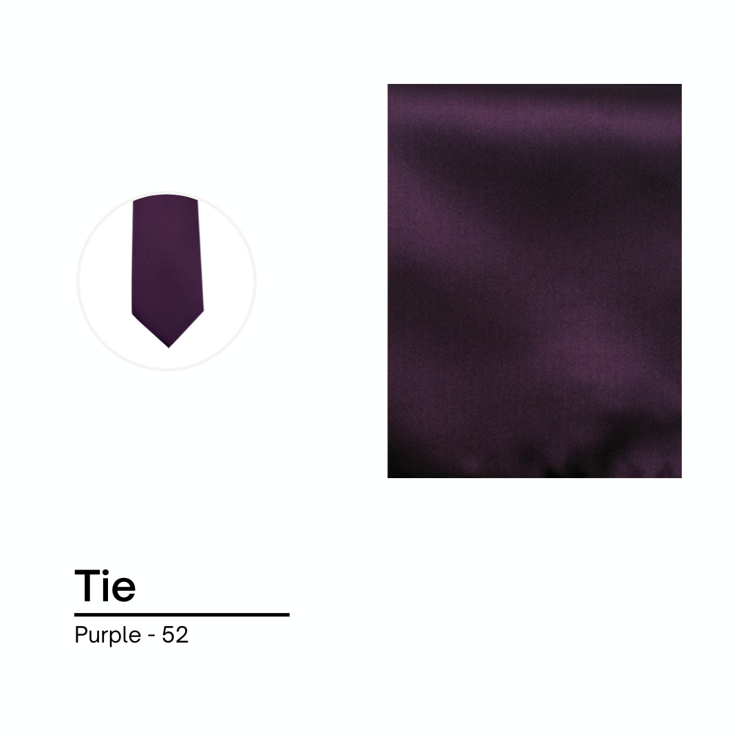 Cravate / Noeud Papillon Unie - Dark Purple