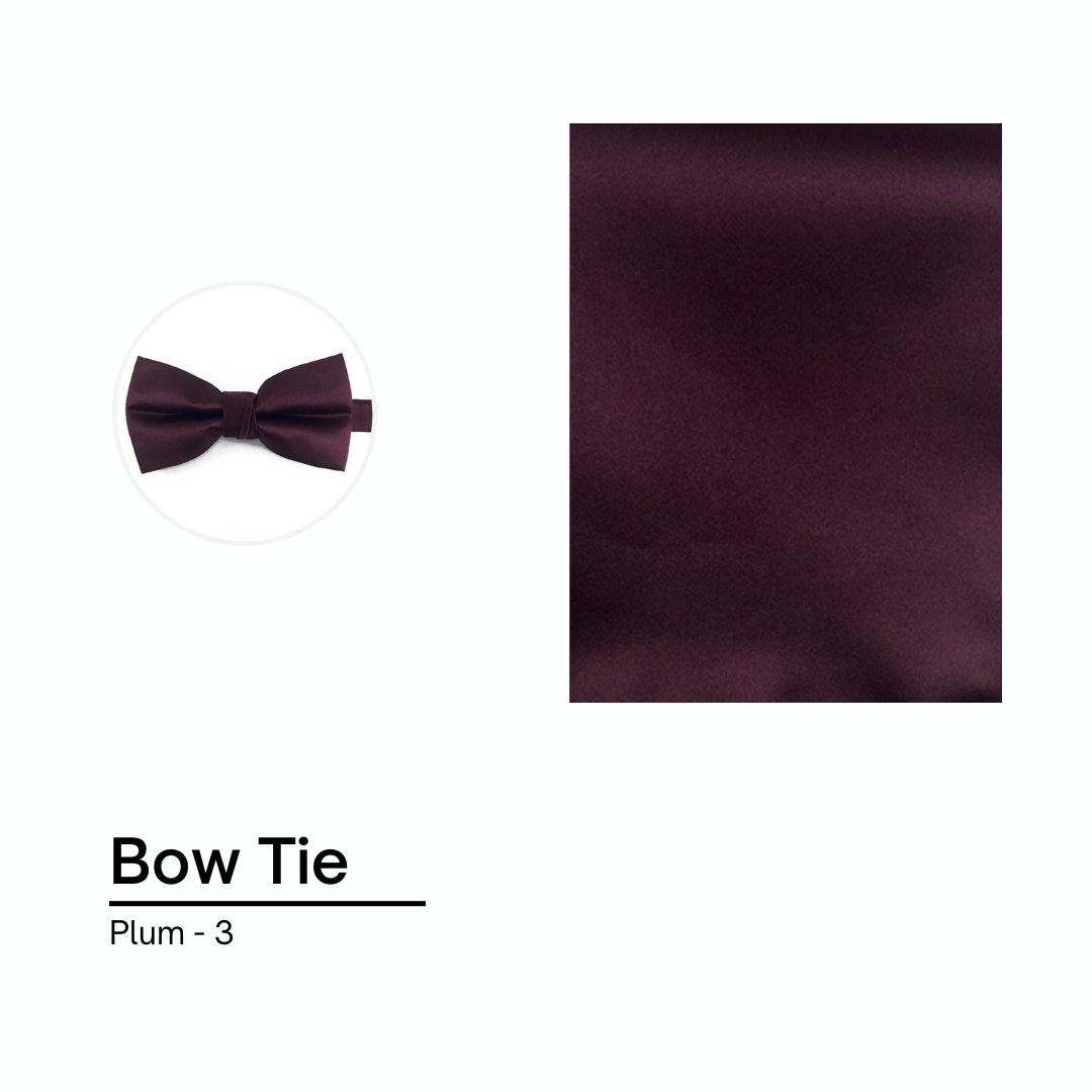 Cravate / Noeud Papillon Unie - Plum