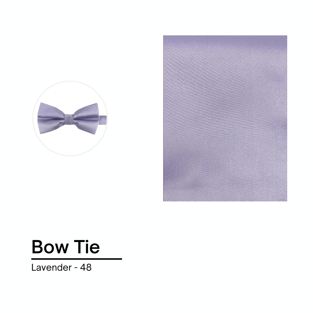 Cravate / Noeud Papillon Unie - Lavender