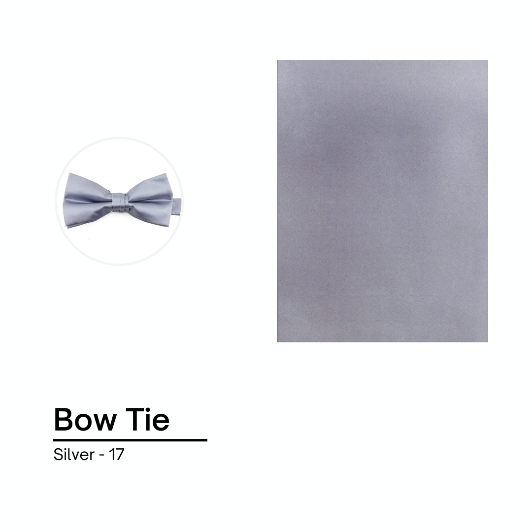 Cravate / Noeud Papillon Unie - Silver