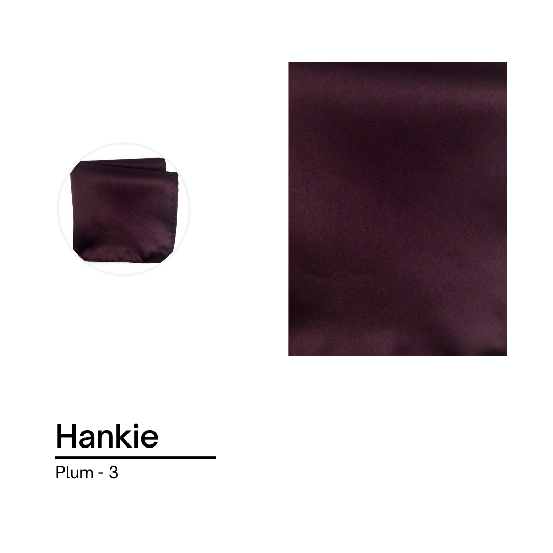 Cravate / Noeud Papillon Unie - Plum
