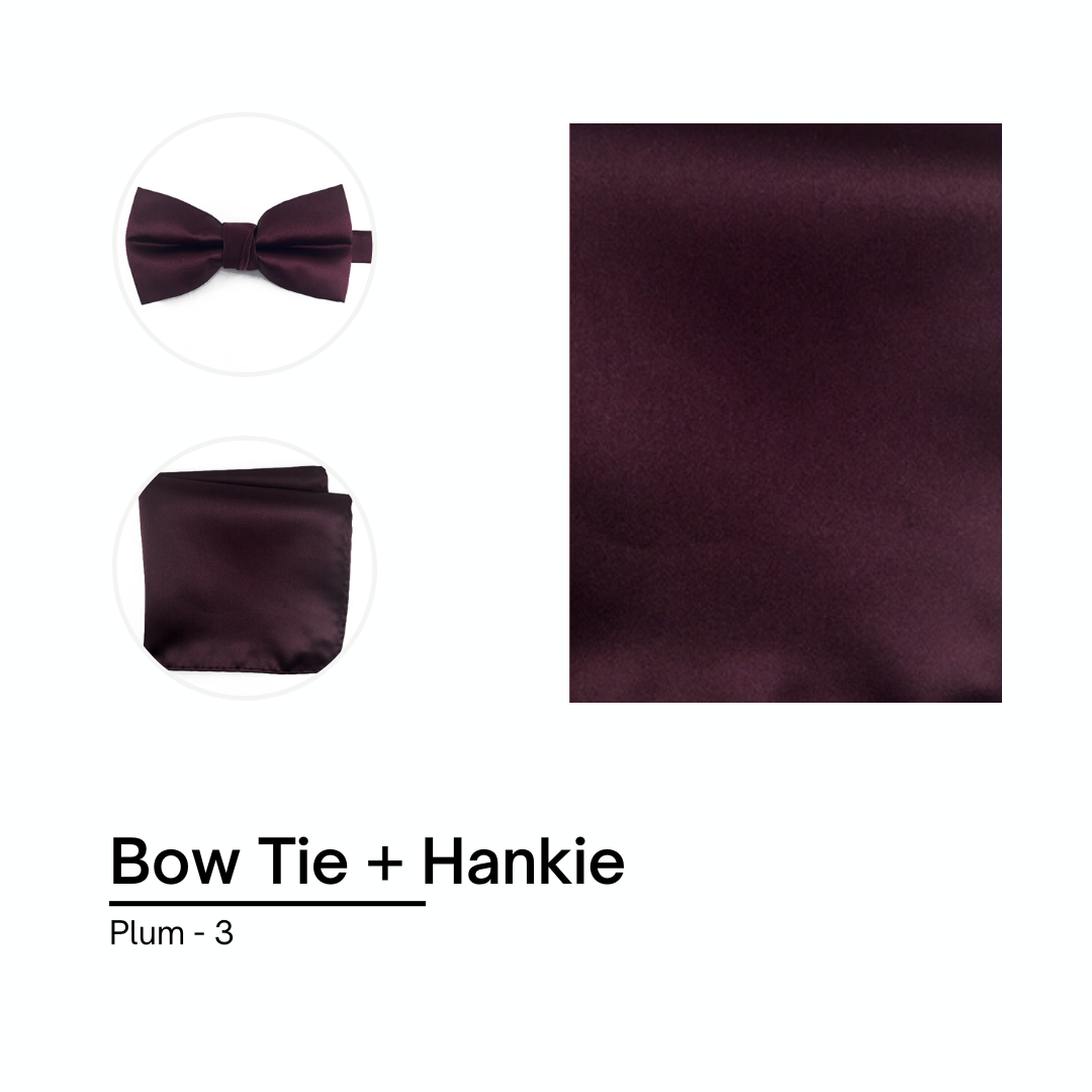 Cravate / Noeud Papillon Unie - Plum