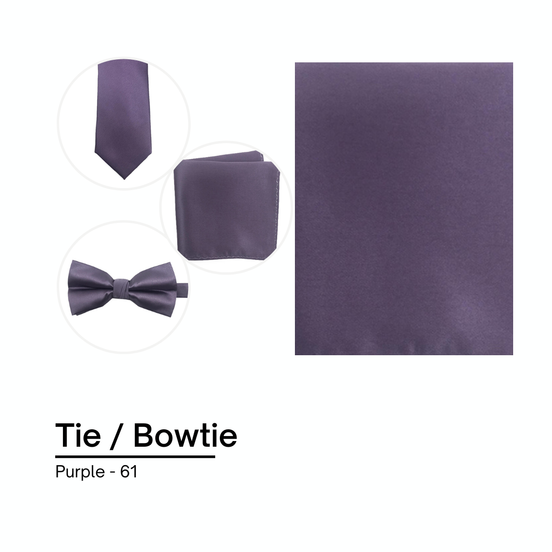 Cravate / Noeud Papillon Unie -  Purple